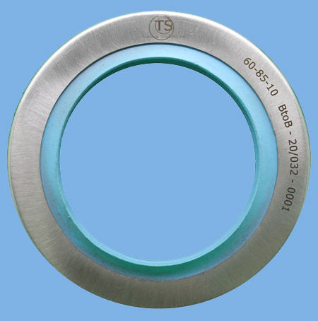 Cataloghi radial lip seal